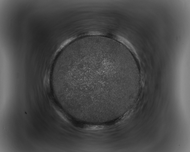 X0000085840155200703231450