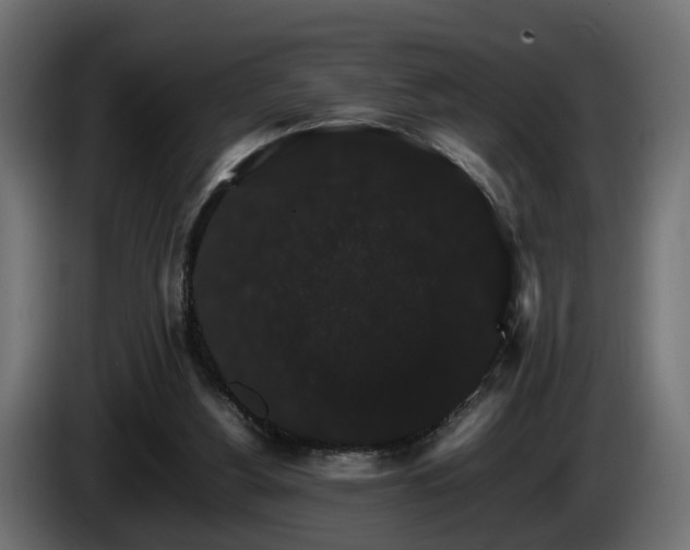 X0000085840156200703231450