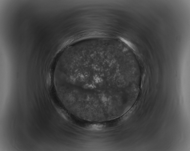 X0000085840158200703231450