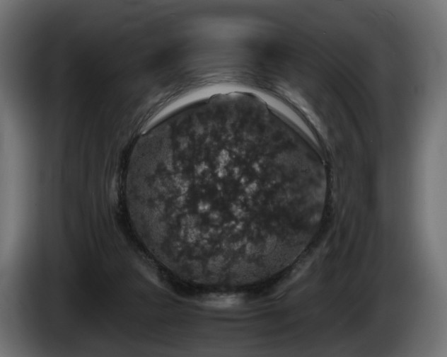 X0000085840161200703231450