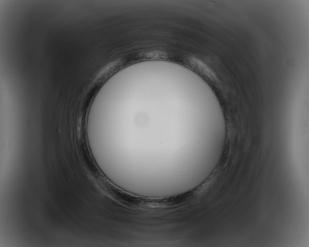 X0000085840163200703231450