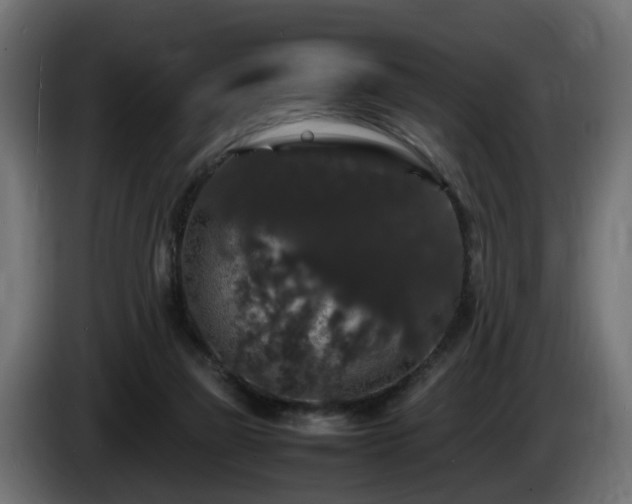 X0000085840165200703231450