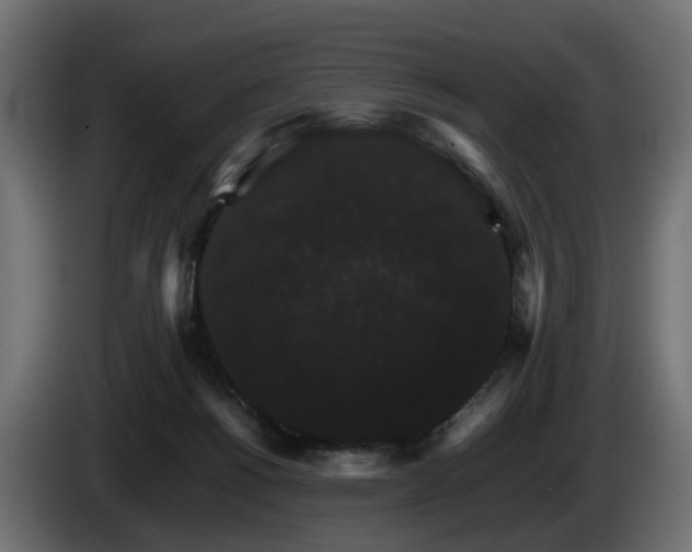 X0000085840168200703231450