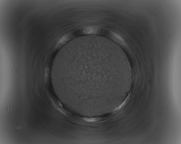 X0000085840171200703231450
