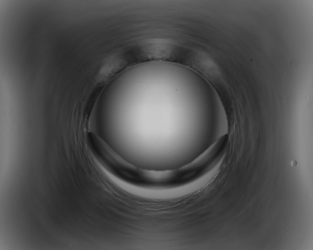 X0000085840172200703231450