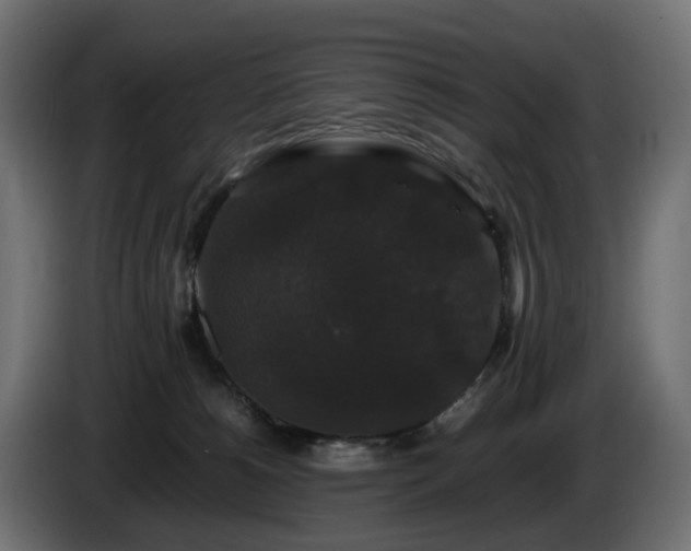 X0000085840180200703231450