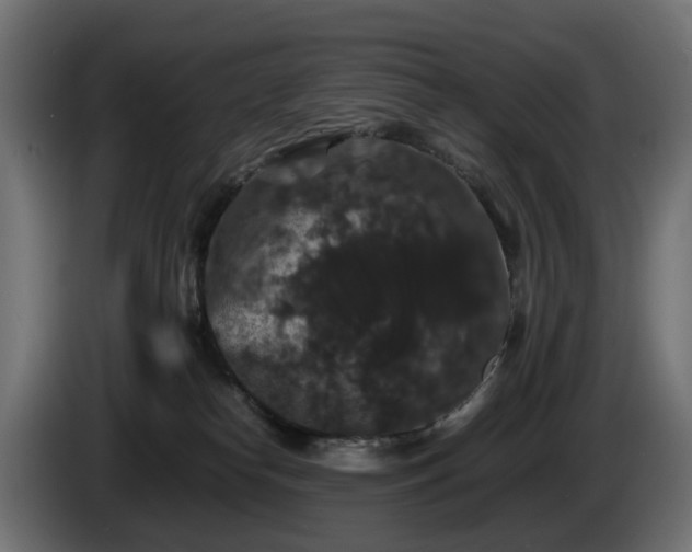 X0000085840182200703231450