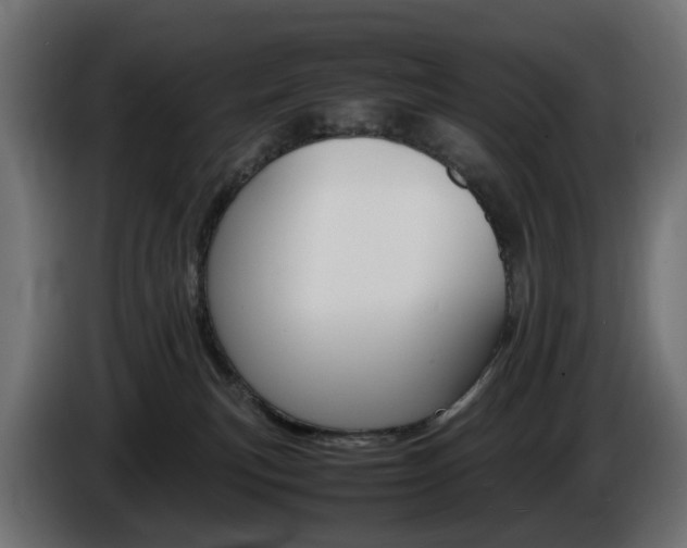X0000085840183200703231450
