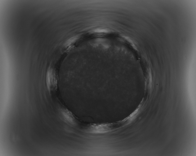 X0000085840186200703231450