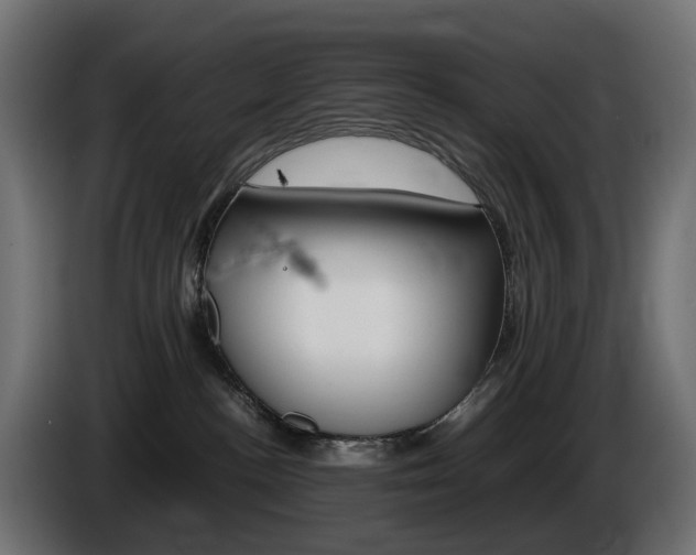 X0000085840188200703231450