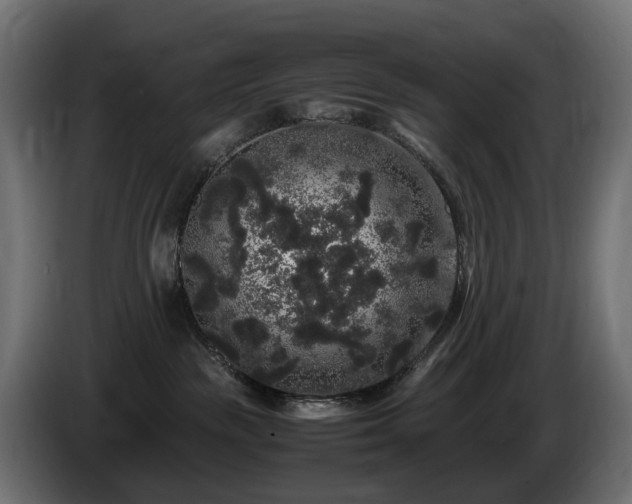 X0000085840189200703231451