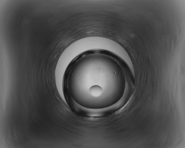 X0000085840192200703231451