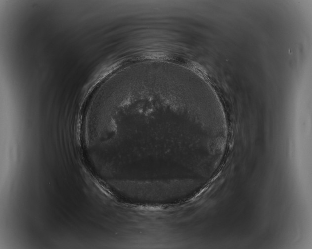 X0000085840194200703231450