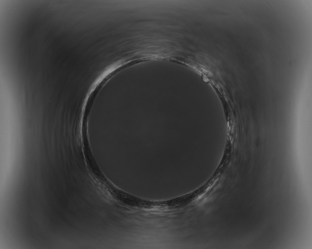 X0000085840196200703231450
