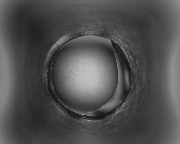 X0000085840197200703231450