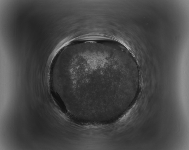 X0000085840199200703231450