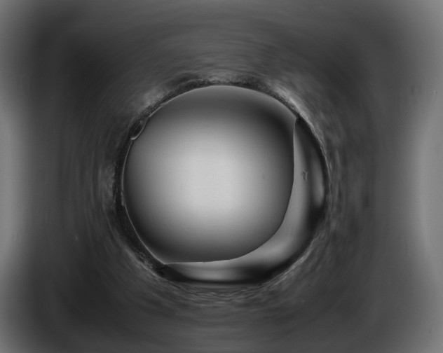 X0000085840201200703231450