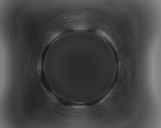 X0000085840202200703231450