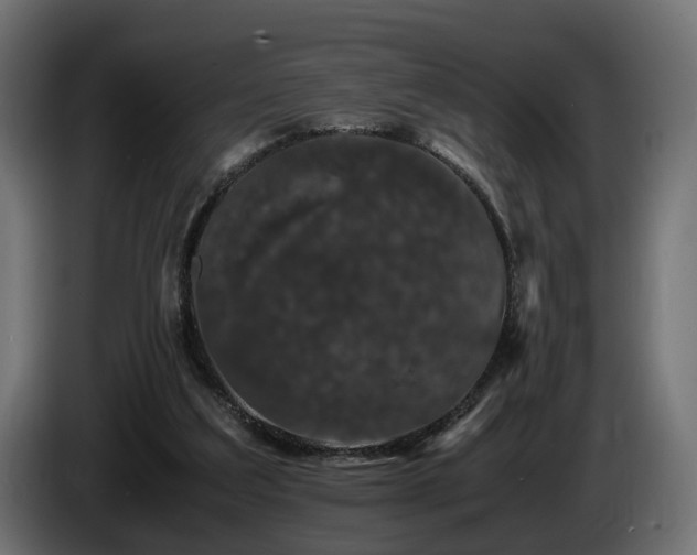 X0000085840203200703231450