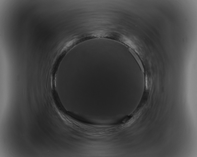 X0000085840205200703231450
