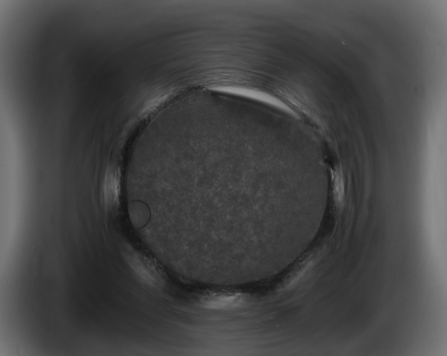 X0000085840206200703231450