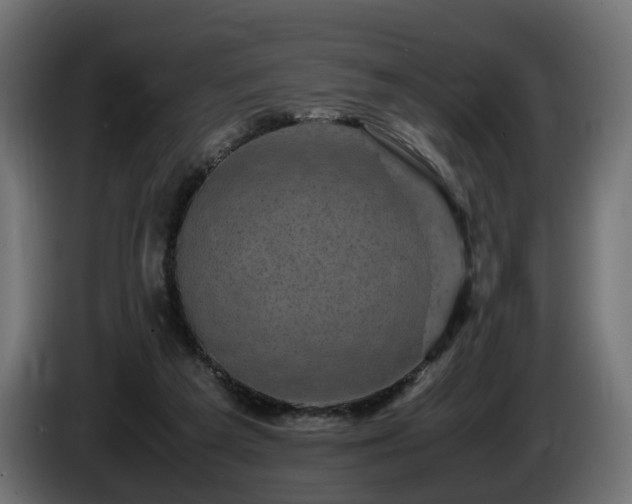 X0000085840209200703231450