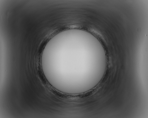 X0000085840210200703231450