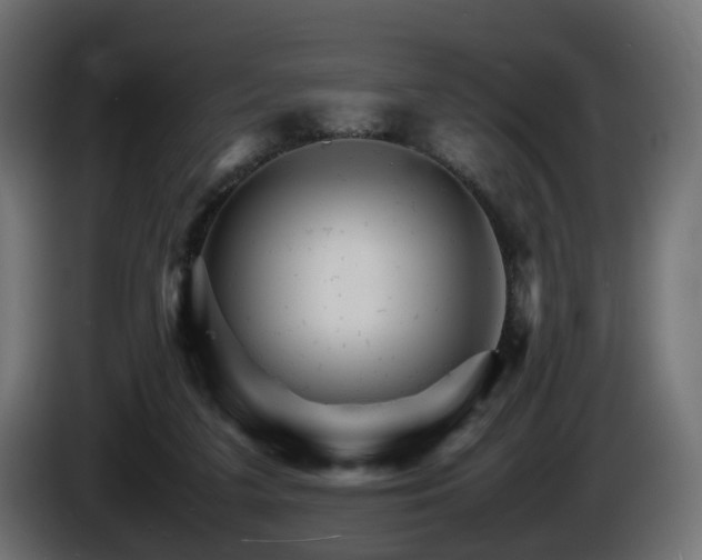X0000085840211200703231450