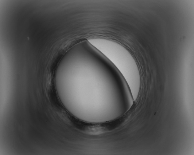 X0000085840219200703231450