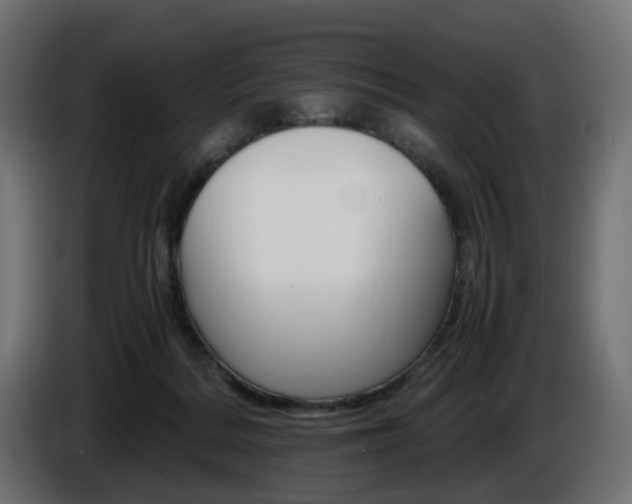 X0000085840220200703231449