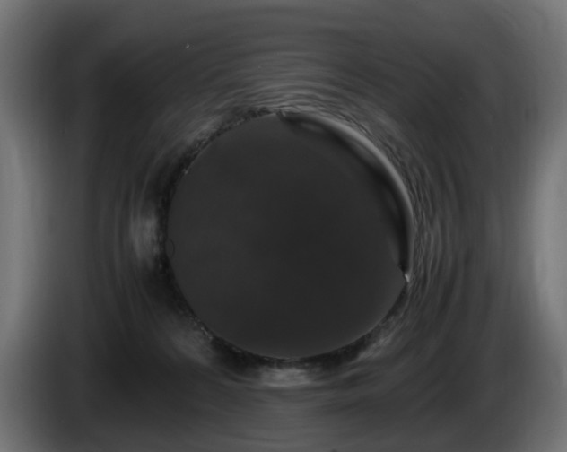 X0000085840224200703231449