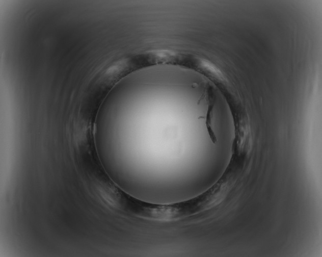X0000085840225200703231449