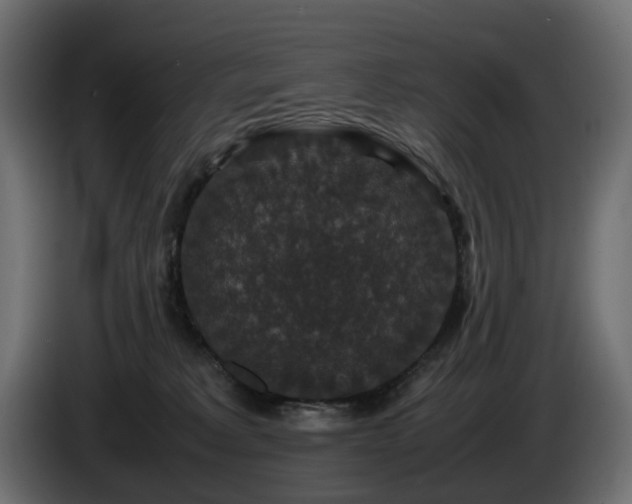 X0000085840229200703231449