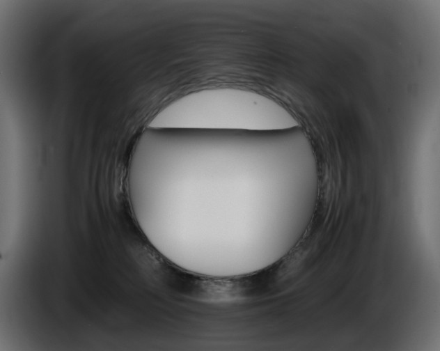 X0000085840230200703231449