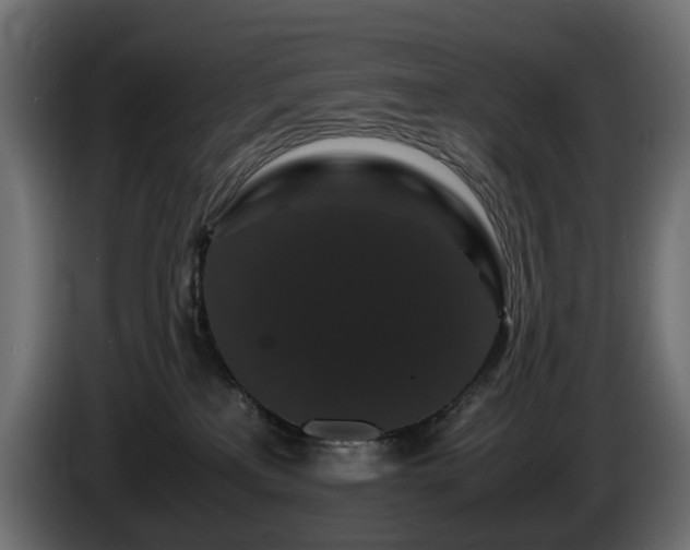 X0000085840233200703231449
