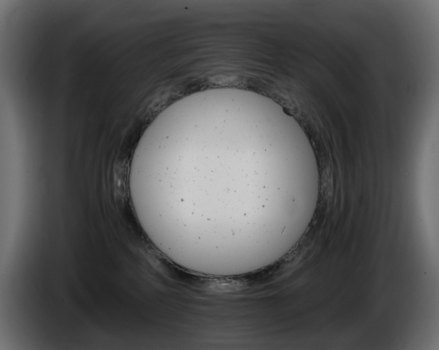X0000085840234200703231449