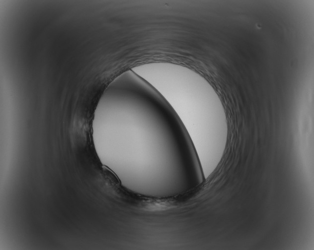 X0000085840235200703231449