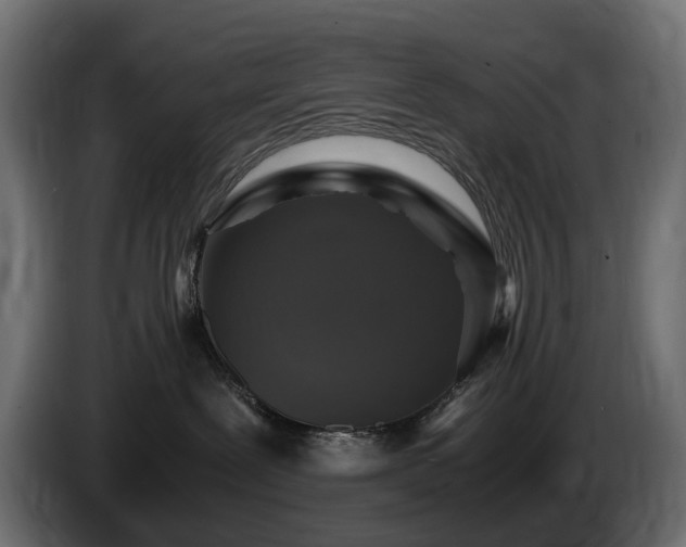 X0000085840239200703231449