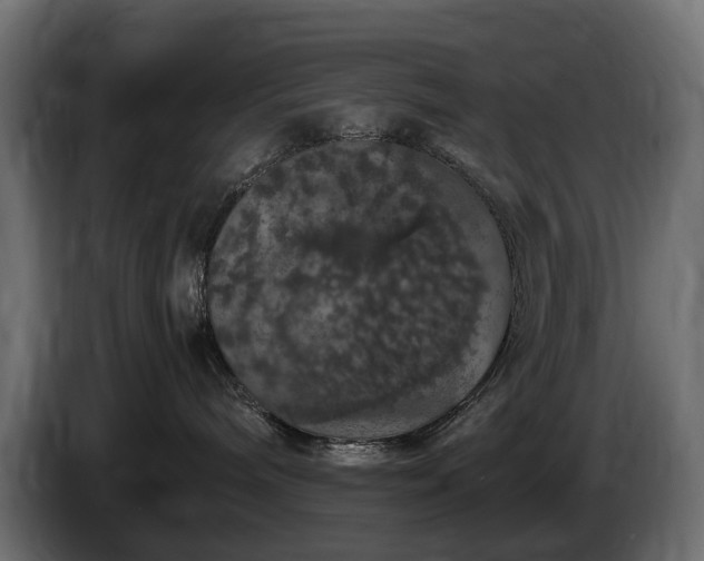 X0000085840240200703231449