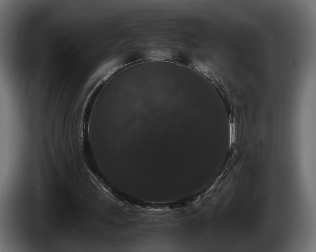 X0000085840243200703231449