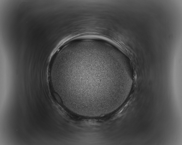 X0000085840244200703231449