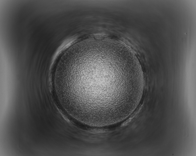 X0000085840245200703231449