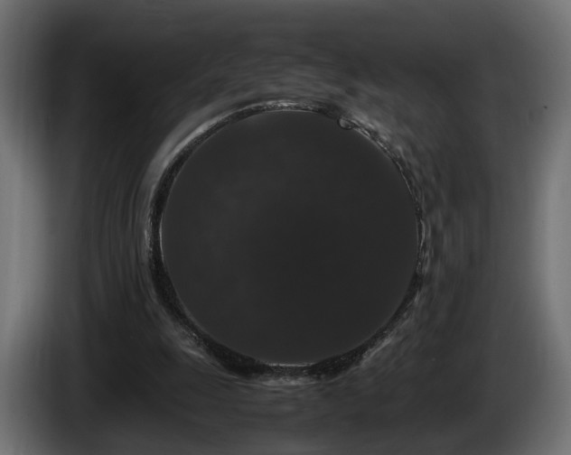 X0000085840247200703231449