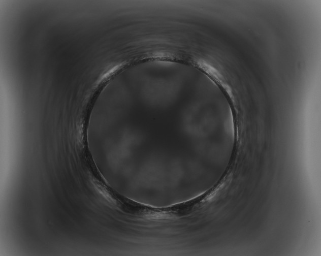 X0000085840249200703231449