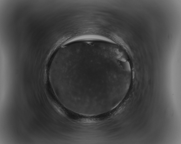 X0000085840250200703231449
