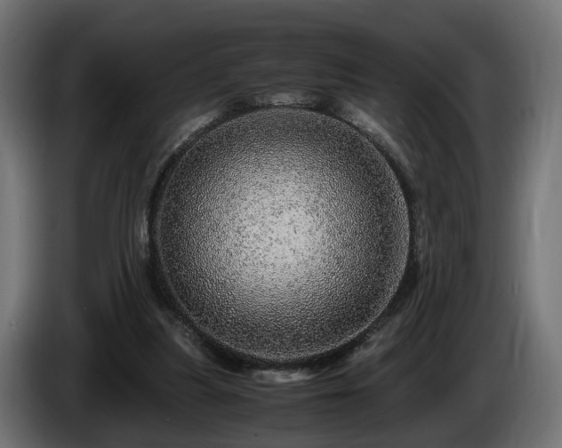 X0000085840251200703231449