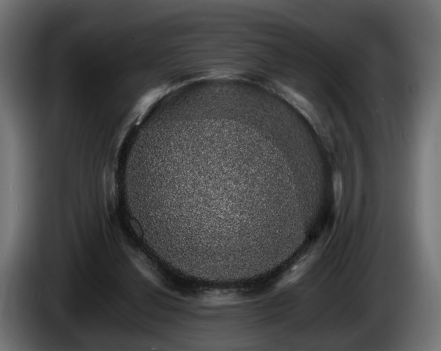 X0000085840252200703231449