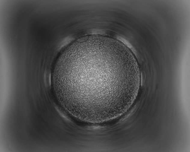 X0000085840253200703231449
