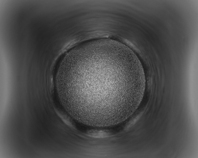 X0000085840254200703231449