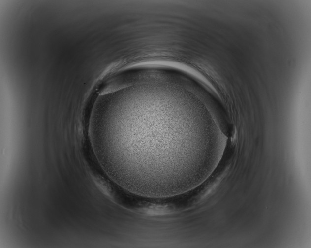 X0000085840256200703231449
